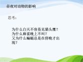 青岛小学科学四下《22-昼夜与生物》PPT课件-(6)