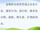 青岛小学科学五上《5-我们的营养》PPT课件-(2)
