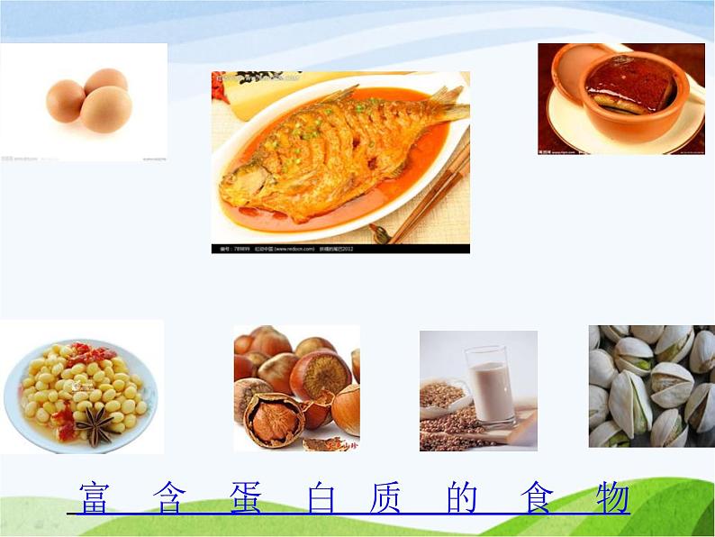 青岛小学科学五上《5-我们的营养》PPT课件-(2)第6页