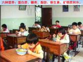 青岛小学科学五上《5-我们的营养》PPT课件-(1)