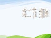 青岛小学科学五上《2-细菌》PPT课件-(3)