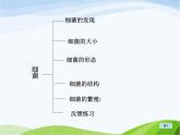 青岛小学科学五上《2-细菌》PPT课件-(3)