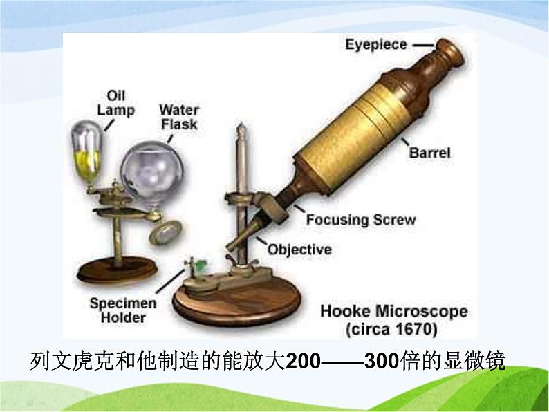 青岛小学科学五上《2-细菌》PPT课件-(3)04