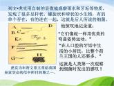 青岛小学科学五上《2-细菌》PPT课件-(3)
