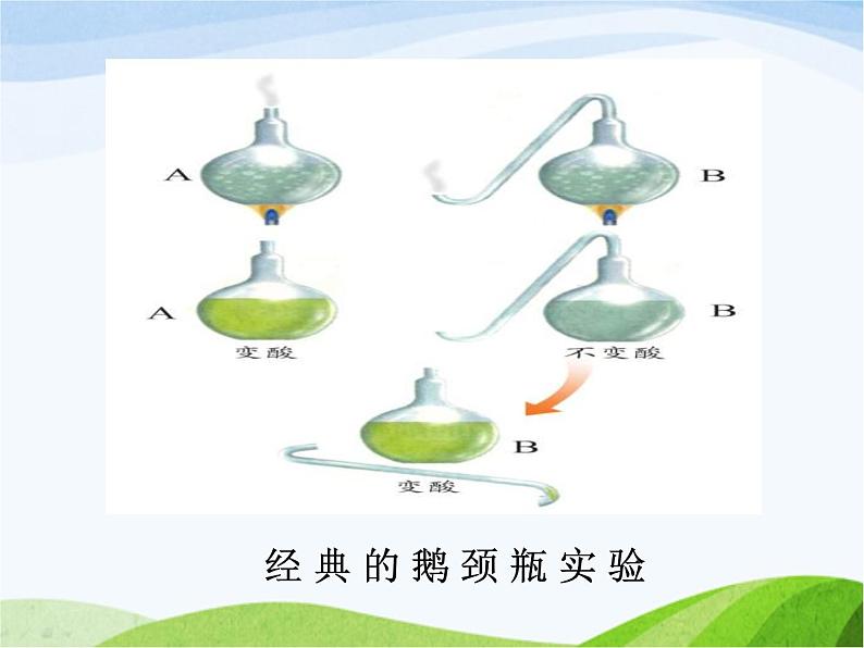 青岛小学科学五上《2-细菌》PPT课件-(3)07