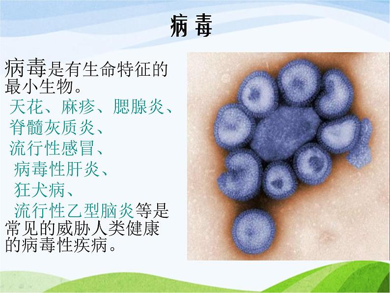 青岛小学科学五上《1-病毒》PPT课件-(1)04