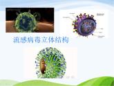 青岛小学科学五上《1-病毒》PPT课件-(1)