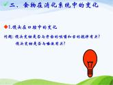 青岛小学科学五上《6-食物到哪里去了》PPT课件-(2)