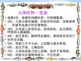 青岛小学科学四下《22-昼夜与生物》PPT课件-(9)