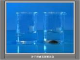 青岛小学科学五上《15.水变咸了》PPT课件-(3)