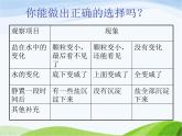 青岛小学科学五上《15.水变咸了》PPT课件-(3)