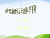 青岛小学科学五下《4.脑与神经》PPT课件-(4)