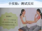 青岛小学科学五上《9-脑与神经》PPT课件-(2)