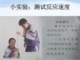 青岛小学科学五上《9-脑与神经》PPT课件-(2)