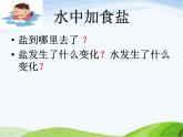 青岛小学科学五上《15.水变咸了》PPT课件-(1)