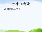 青岛小学科学五上《15.水变咸了》PPT课件-(2)
