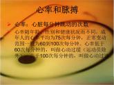 青岛小学科学五上《8-心脏和血管》PPT课件-(3)