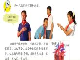 青岛小学科学五下《3.心脏和血管》PPT课件-(1)