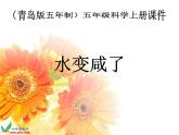 青岛小学科学五上《15.水变咸了》PPT课件