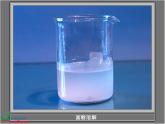 青岛小学科学五上《15.水变咸了》PPT课件