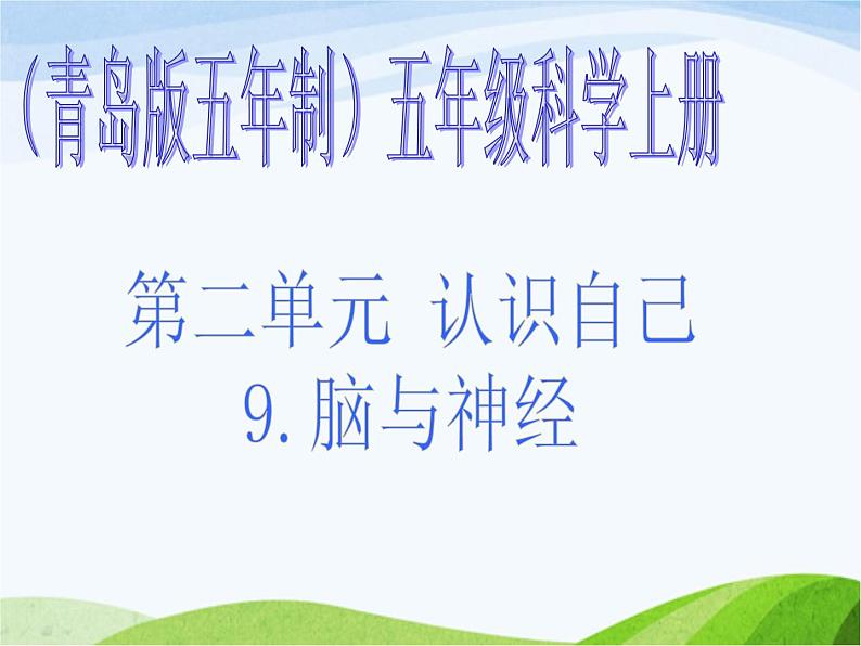 青岛小学科学五上《9-脑与神经》PPT课-件-(2)第1页