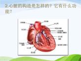 青岛小学科学五下《3.心脏和血管》PPT课件-(2)