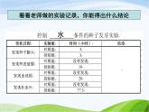 青岛小学科学五下《10.种子发芽了》PPT课件-(3)