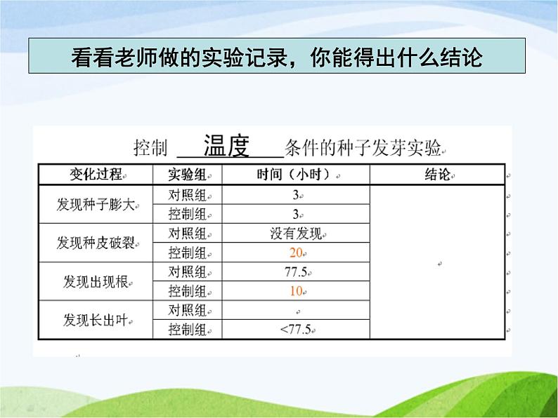 青岛小学科学五下《10.种子发芽了》PPT课件-(3)05