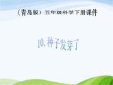 青岛小学科学五下《10.种子发芽了》PPT课件-(5)