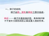 青岛小学科学五下《10.种子发芽了》PPT课件-(5)