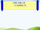 青岛小学科学五下《15.生物繁殖新技术》PPT课件-(2)