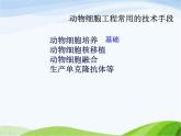青岛小学科学五下《15.生物繁殖新技术》PPT课件-(2)