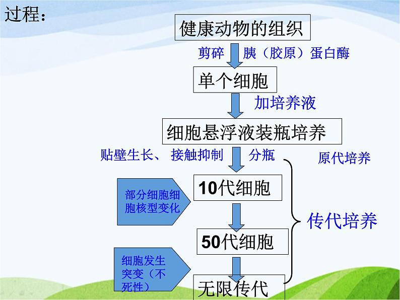 青岛小学科学五下《15.生物繁殖新技术》PPT课件-(2)08