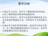 青岛小学科学五下《6.照相机和眼睛》PPT课件-(1)