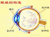 青岛小学科学五下《6.照相机和眼睛》PPT课件-(1)