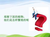 青岛小学科学五下《14.植物的“分身术”》PPT课件-(1)