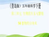 青岛小学科学五下《14.植物的“分身术”》PPT课件-(2)