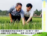 青岛小学科学五下《15.生物繁殖新技术》PPT课件-(1)