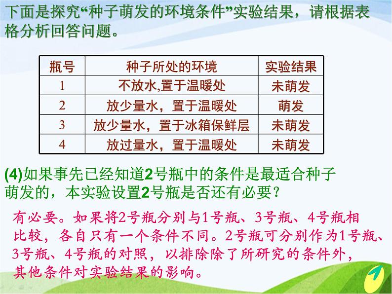 青岛小学科学五下《10.种子发芽了》PPT课件-(1)第7页