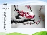 青岛小学科学五下《12.植物的花》PPT课件-(2)
