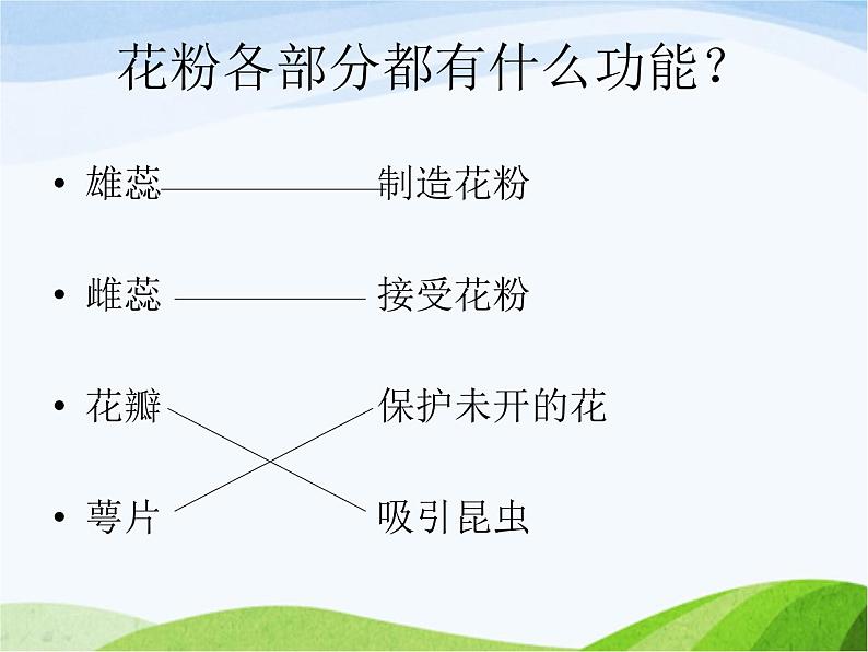 青岛小学科学四上《5-花和果实》PPT课件-(1)04
