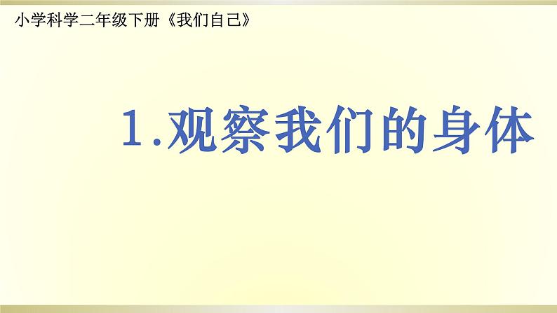 小学科学教科版二年级下册第二单元第1课《观察我们的身体》课件901