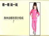 小学科学教科版二年级下册第二单元第1课《观察我们的身体》课件9
