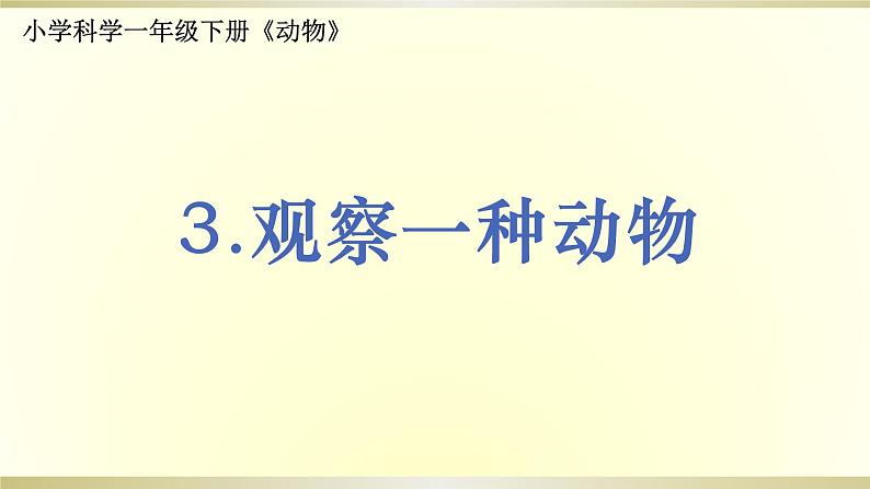 小学科学教科版一年级下册第二单元第3课《观察一种动物》课件901