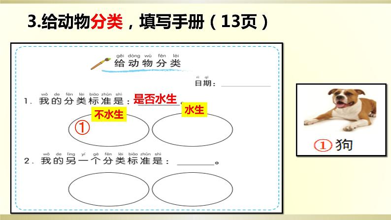 小学科学教科版一年级下册第二单元第6课《给动物分类》课件9第7页