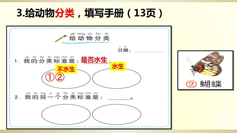 小学科学教科版一年级下册第二单元第6课《给动物分类》课件9第8页