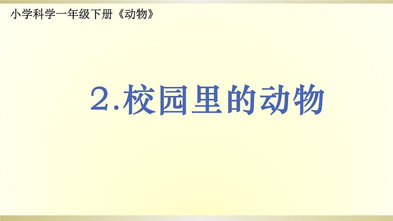 小学科学教科版一年级下册第二单元第2课《校园里的动物》课件901