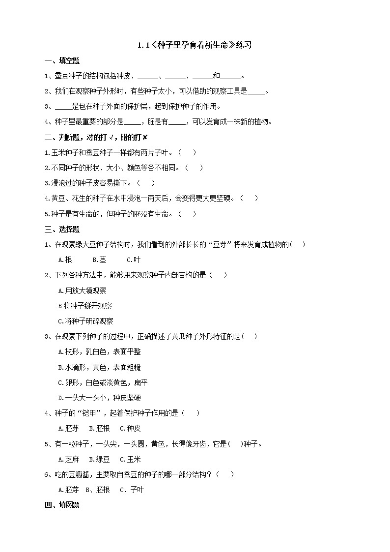 1.1《种子里孕育着新生命》练习第1页