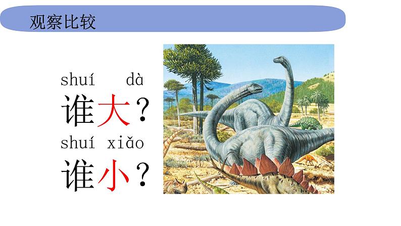 1.2.1《在观察中比较》课件PPT第3页