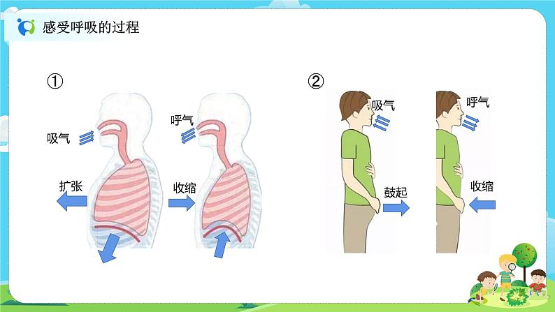 4.2.1《感受我们的呼吸》课件+教案04